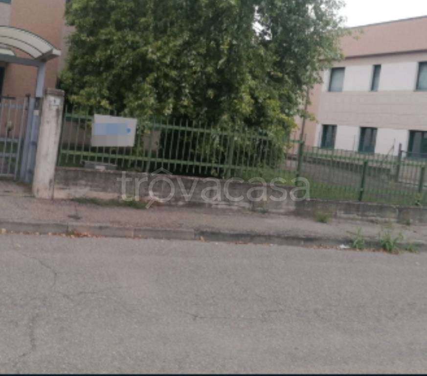 immagine annuncio 7 di 11