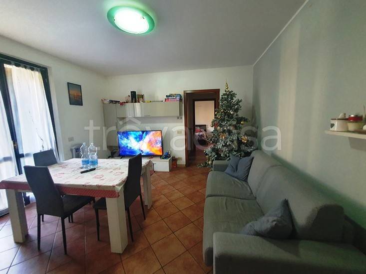 immagine annuncio 5 di 14