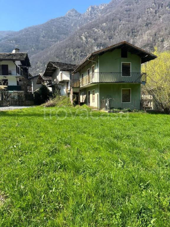 immagine annuncio 4 di 7