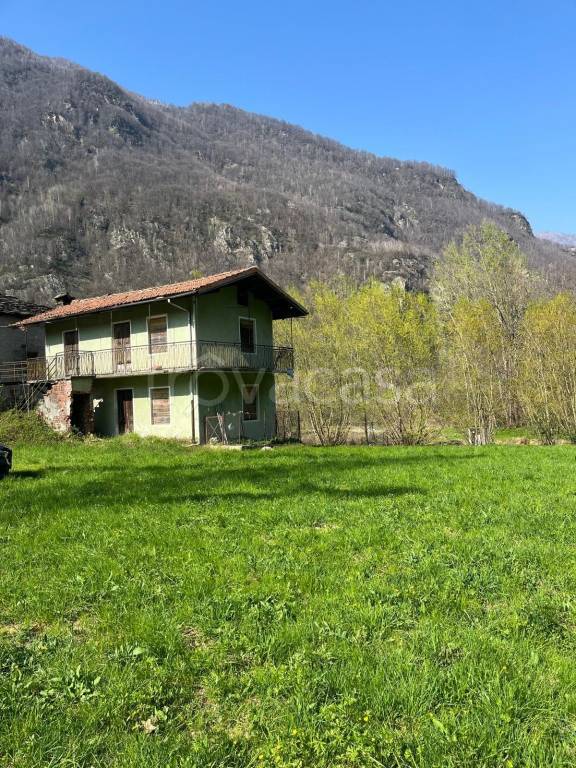 immagine annuncio 5 di 7