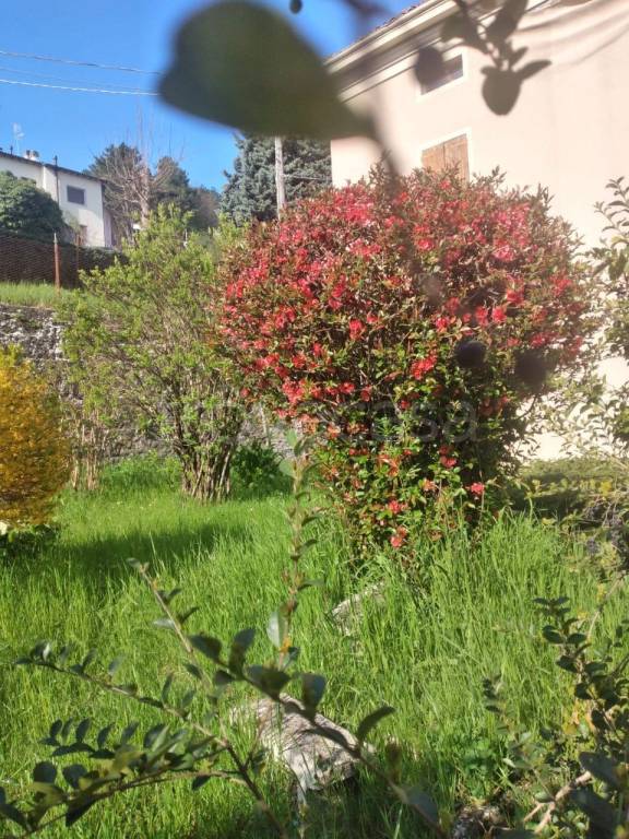 immagine annuncio 6 di 9