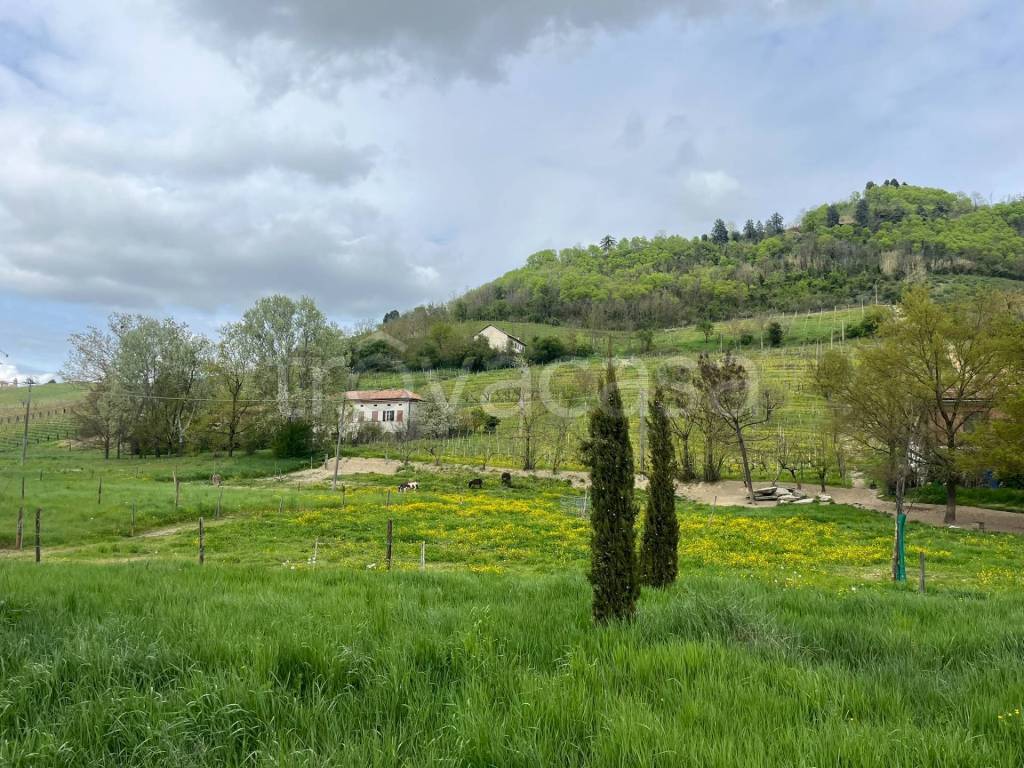 immagine annuncio 12 di 13