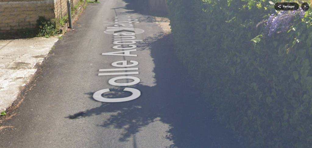immagine annuncio 10 di 14