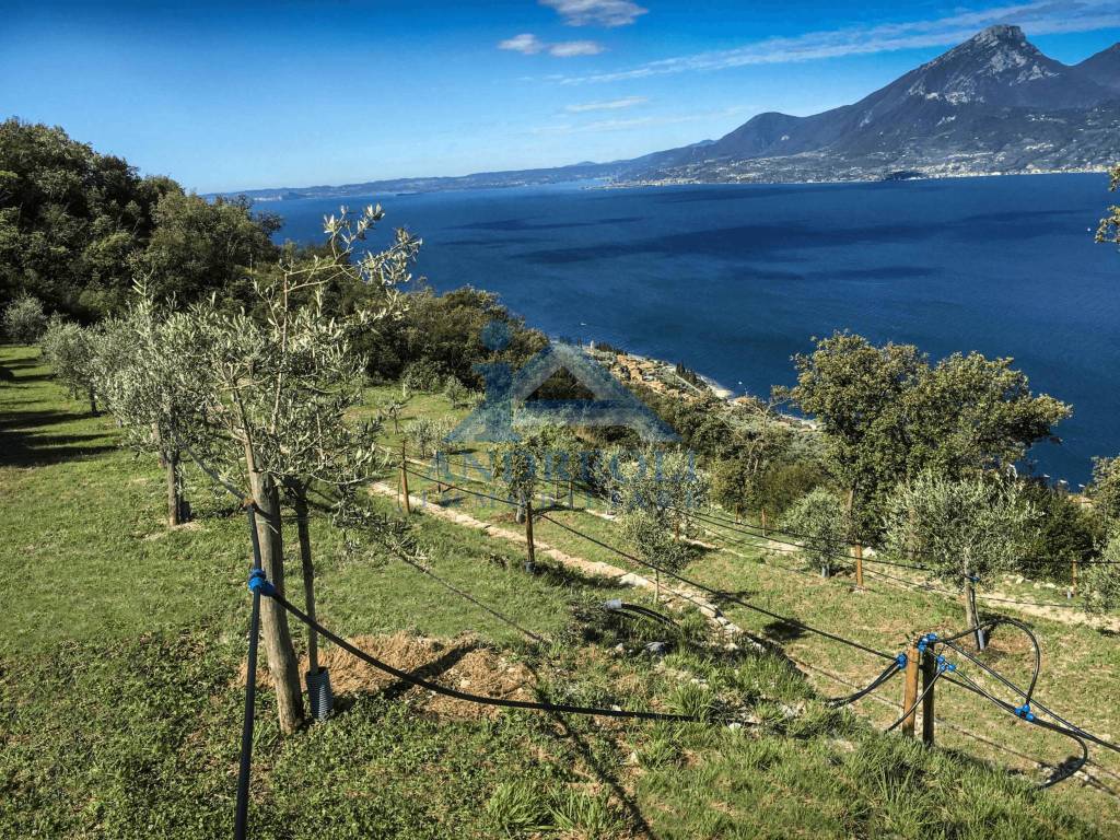 immagine annuncio 9 di 14