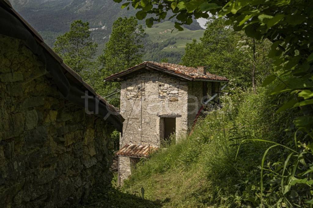 immagine annuncio 4 di 9