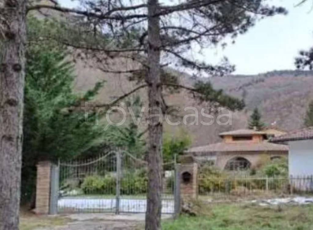 immagine annuncio 4 di 11