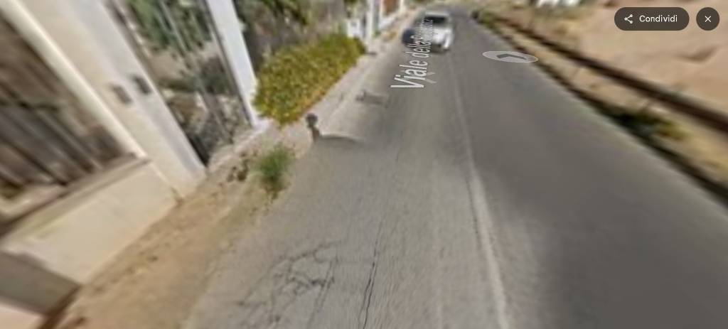 immagine annuncio 7 di 14