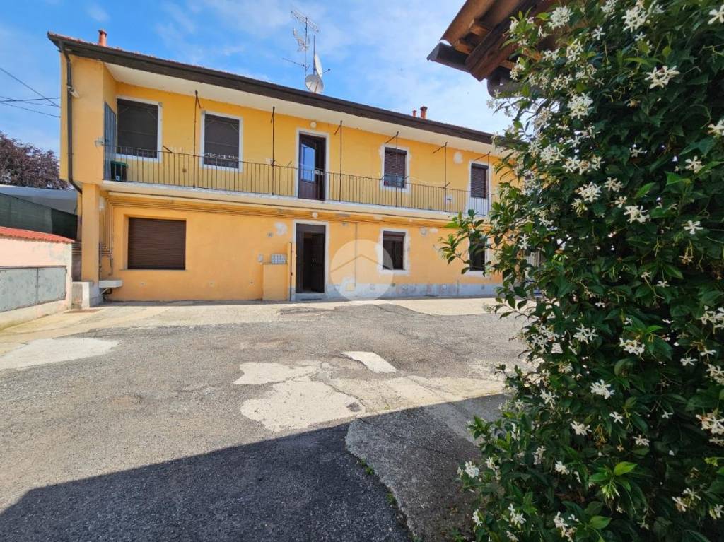 immagine annuncio 10 di 11