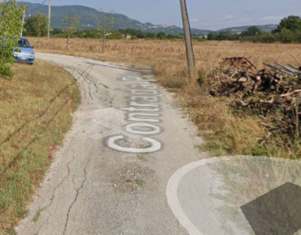 immagine annuncio 9 di 11