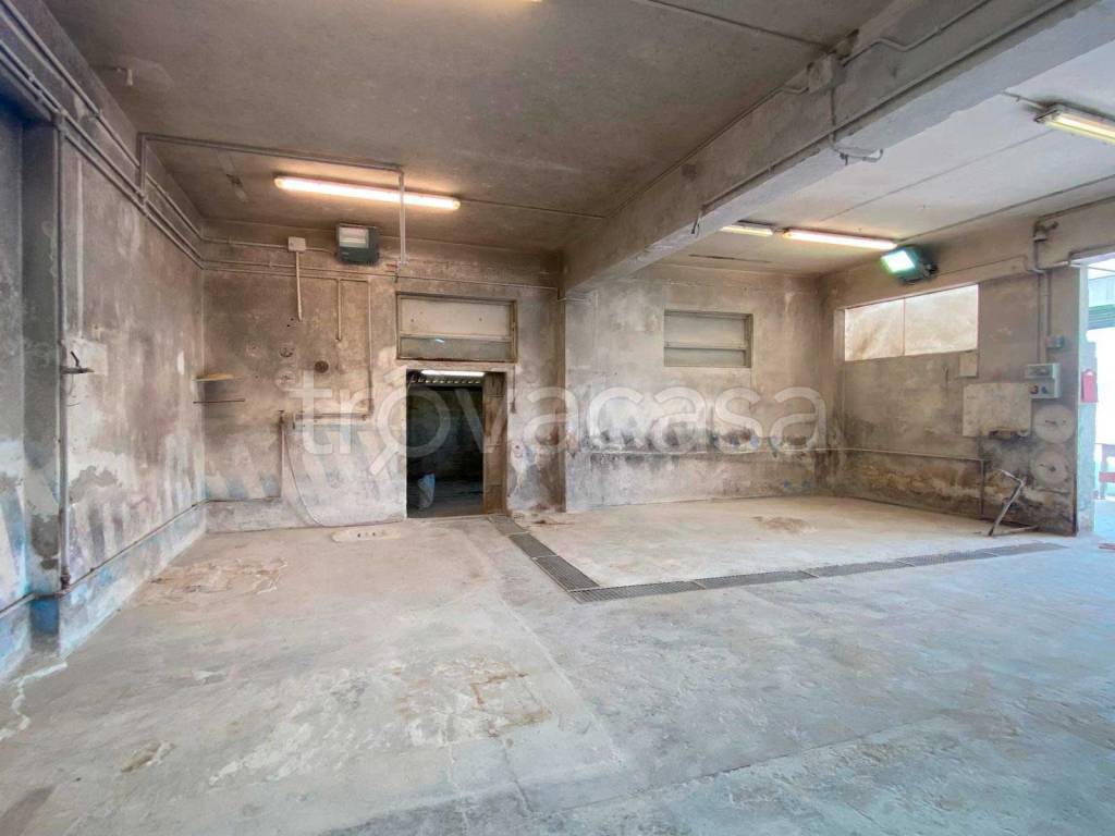 immagine annuncio 5 di 14