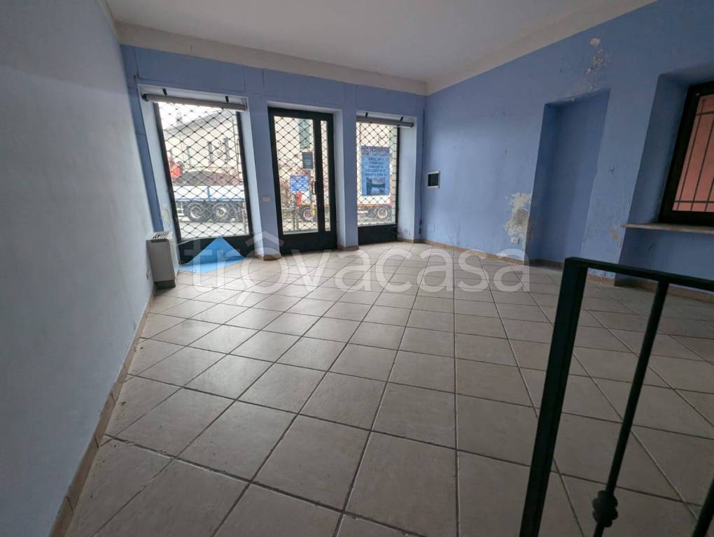 immagine annuncio 3 di 11