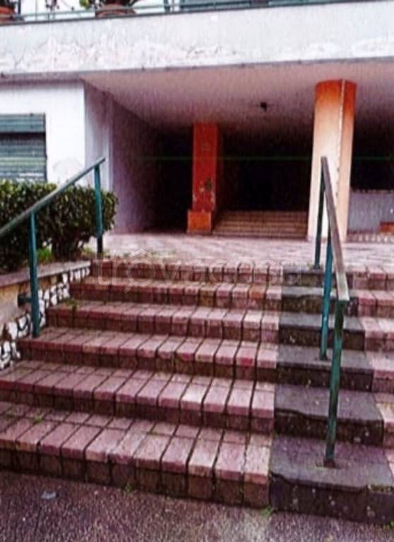 immagine annuncio 11 di 14