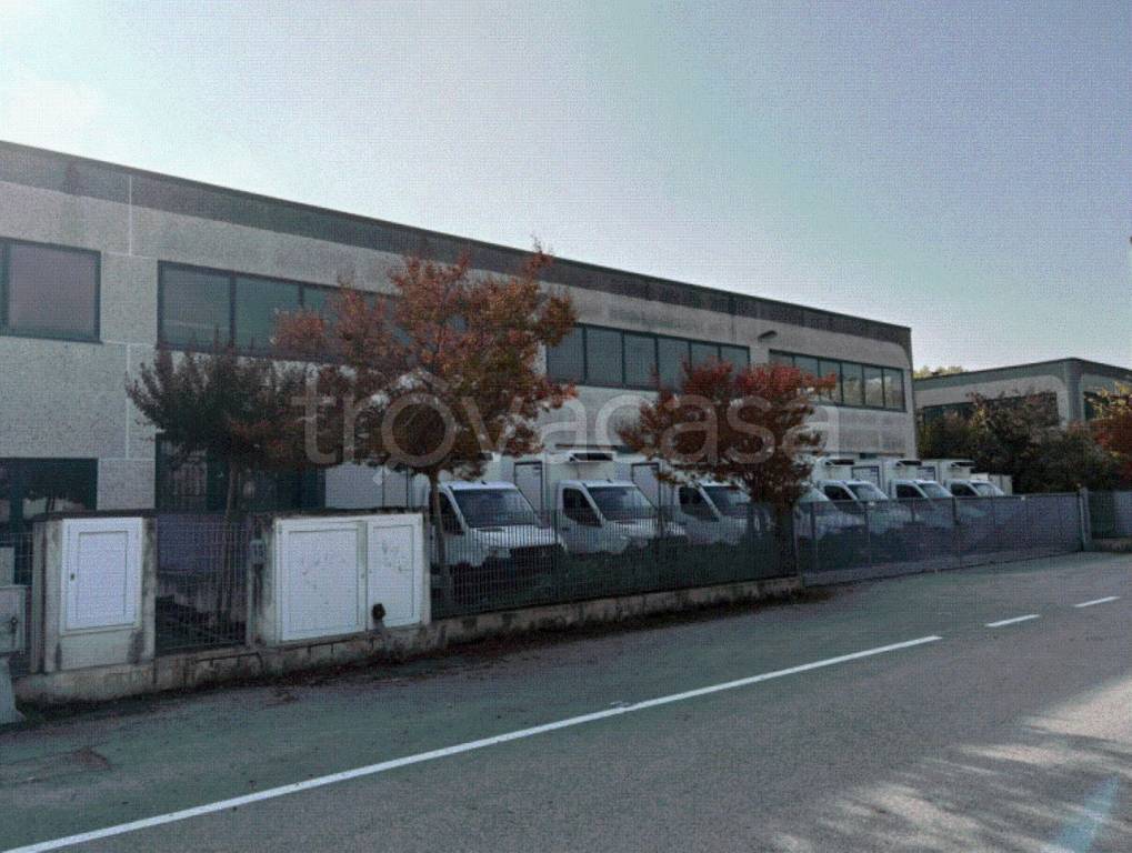 immagine annuncio 3 di 14