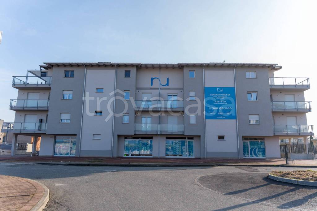 immagine annuncio 3 di 6