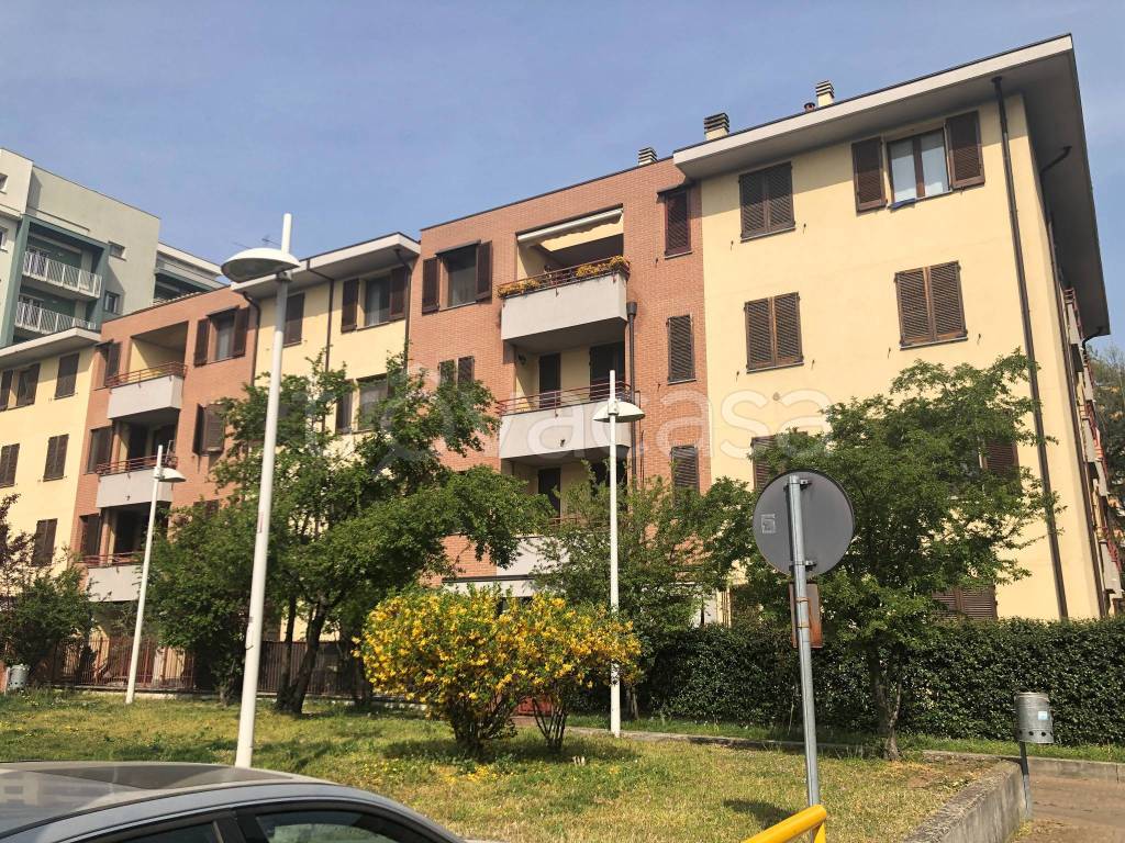 immagine annuncio 7 di 11