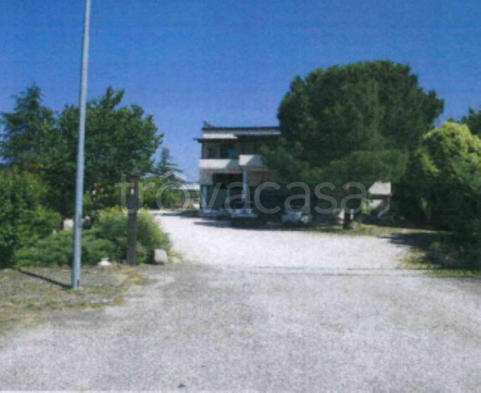 immagine annuncio 6 di 11