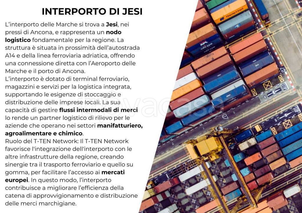 immagine annuncio 7 di 11