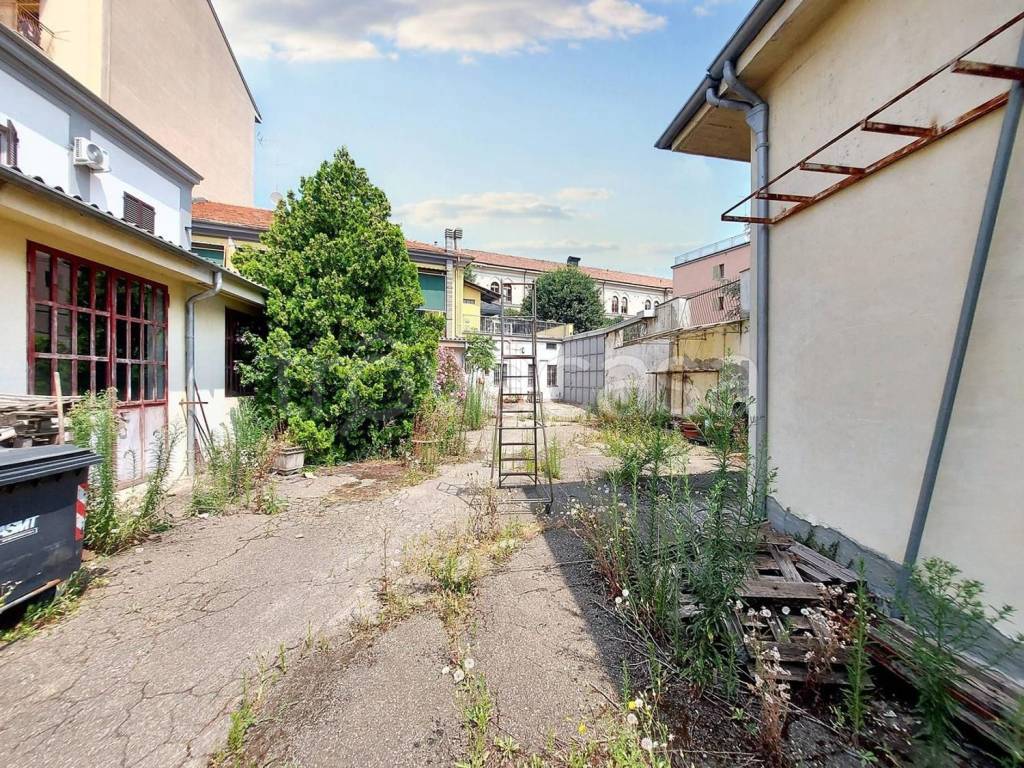 immagine annuncio 12 di 15