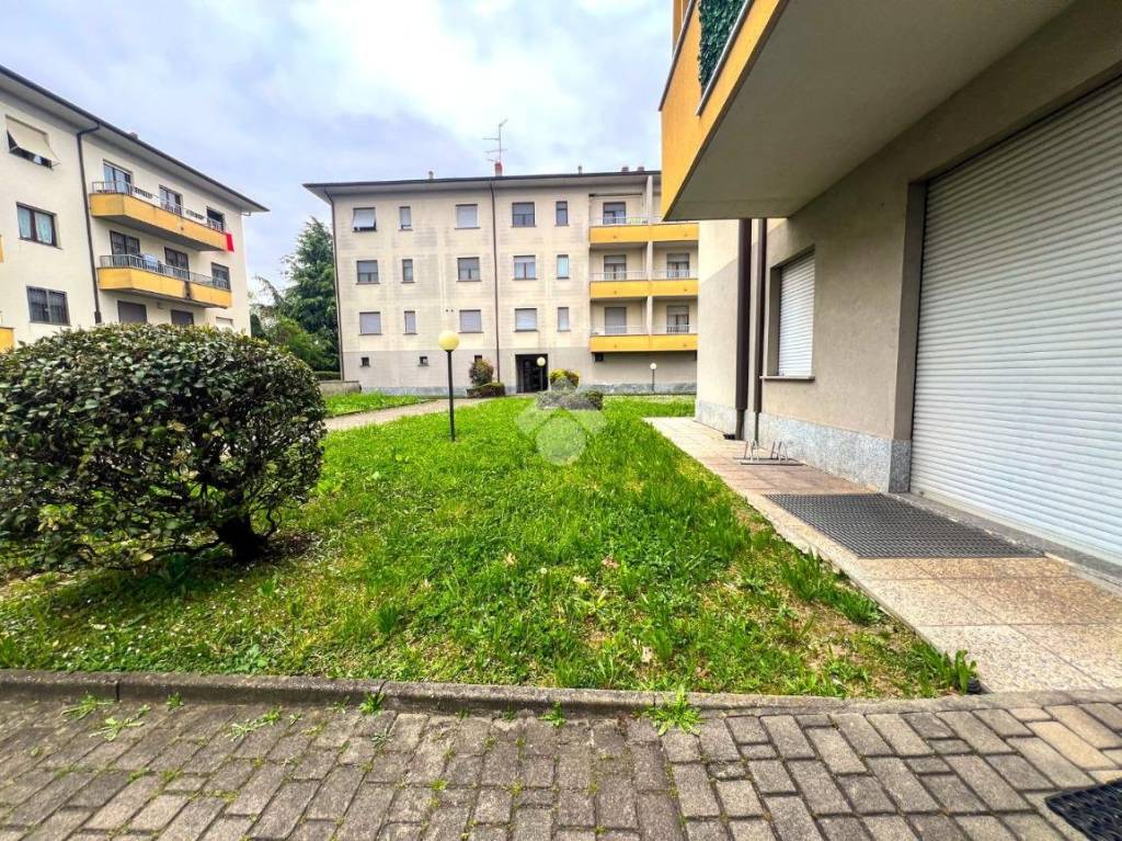 immagine annuncio 13 di 15