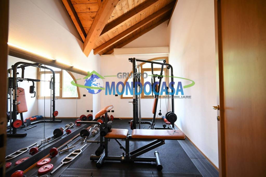 immagine annuncio 12 di 15