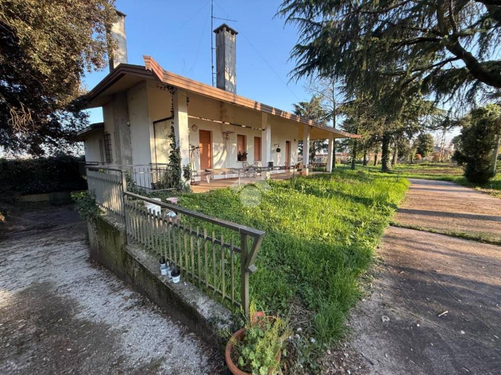 immagine annuncio 1 di 8
