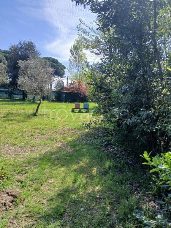 immagine annuncio 3 di 14