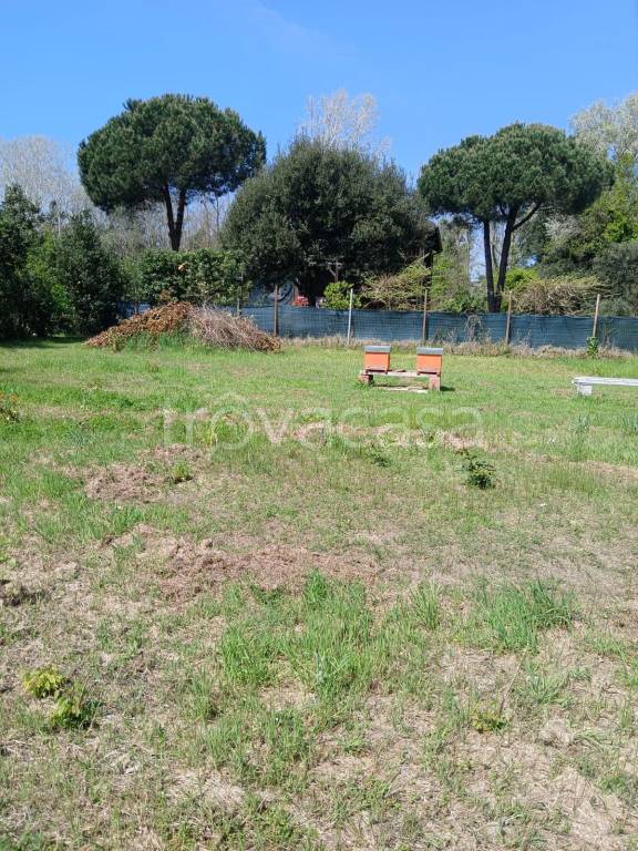 immagine annuncio 5 di 14