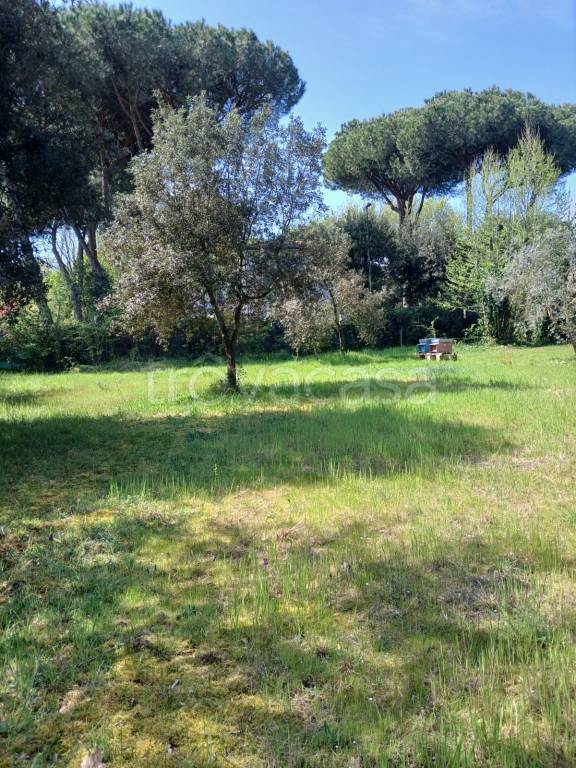 immagine annuncio 7 di 14