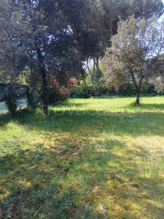 immagine annuncio 8 di 14