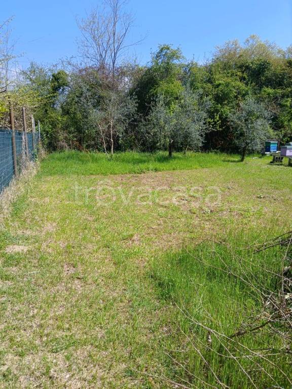 immagine annuncio 9 di 14