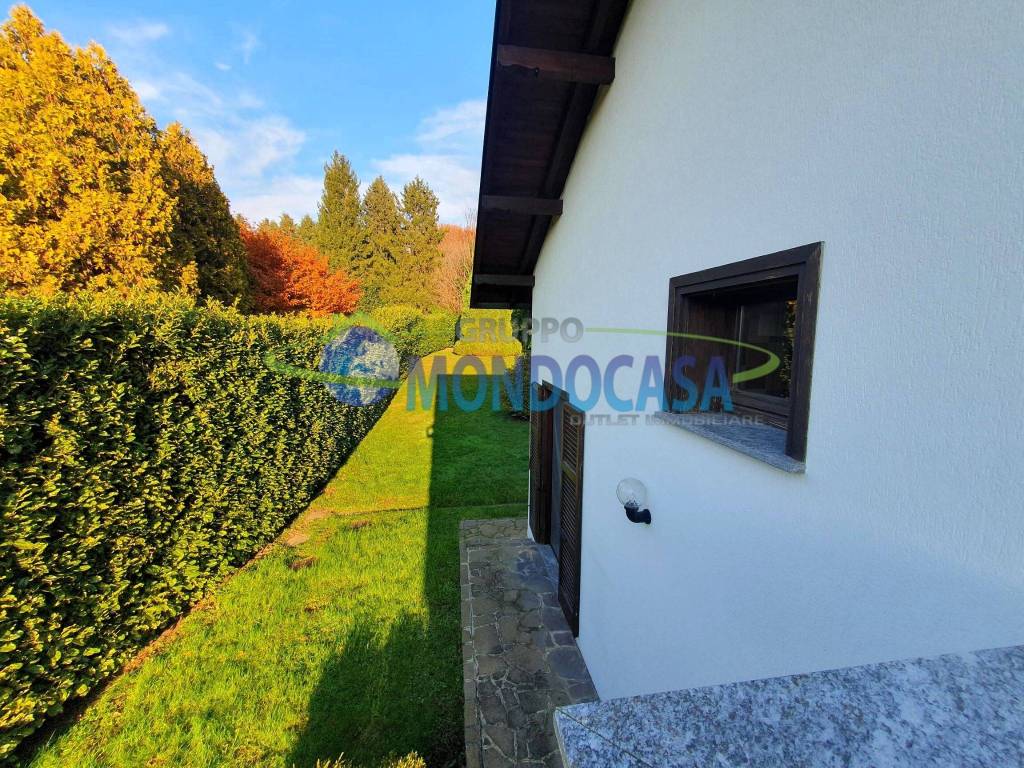 immagine annuncio 9 di 14