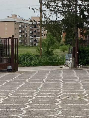 immagine annuncio 11 di 13