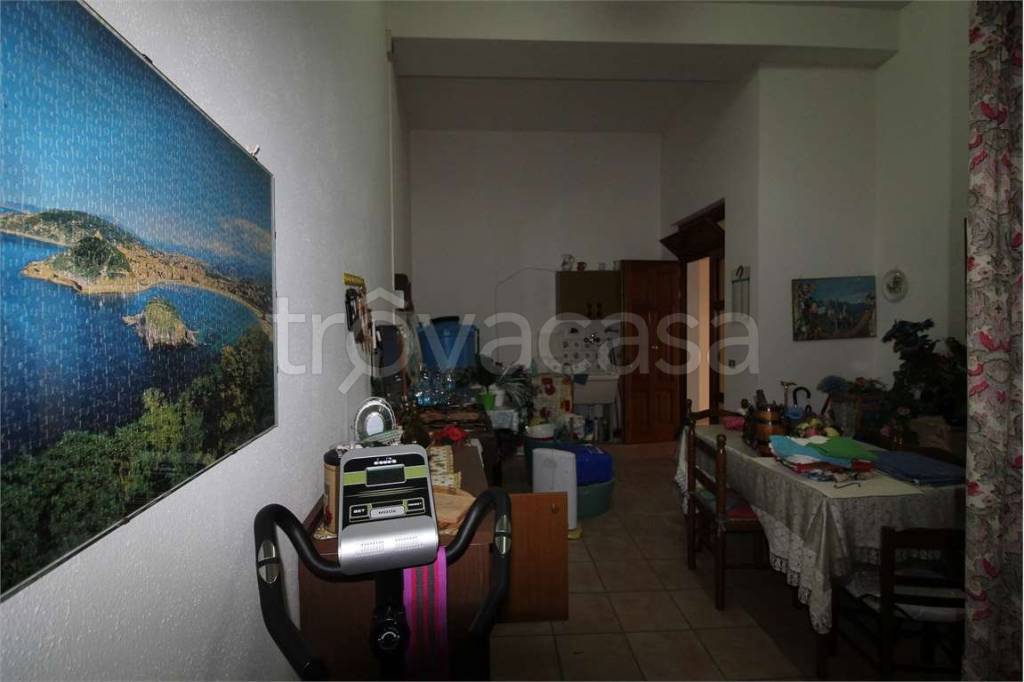 immagine annuncio 12 di 14