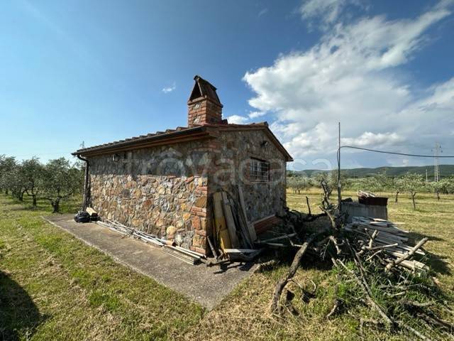 immagine annuncio 7 di 11