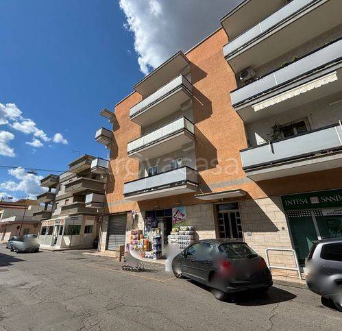 immagine annuncio 1 di 6