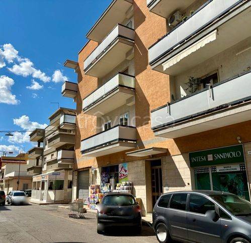immagine annuncio 5 di 6