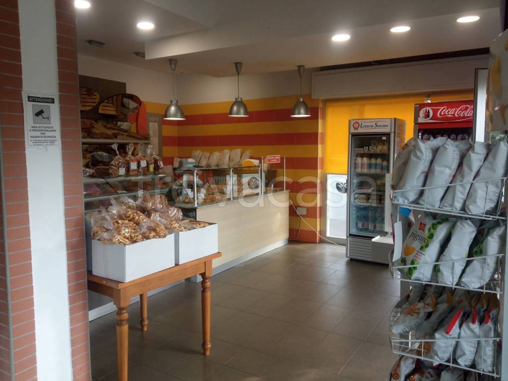 immagine annuncio 5 di 11