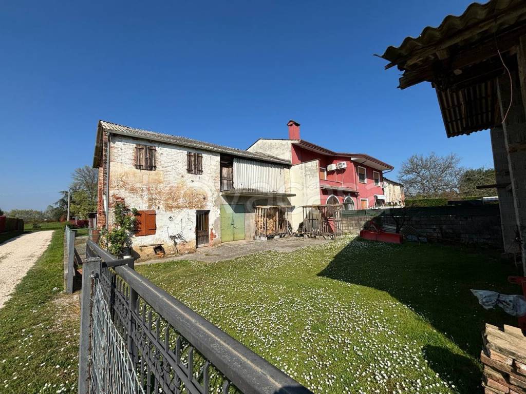 immagine annuncio 3 di 12