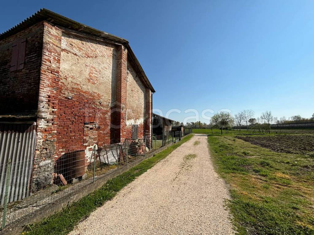 immagine annuncio 11 di 12