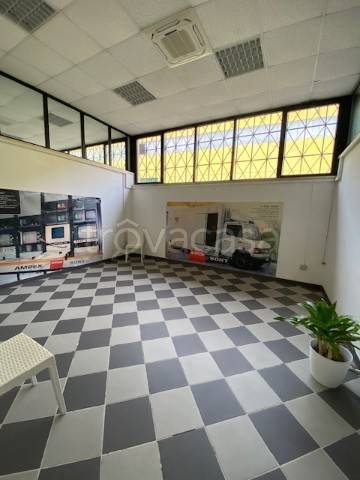 immagine annuncio 8 di 13