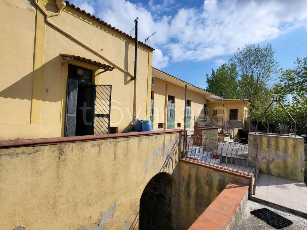 immagine annuncio 4 di 11