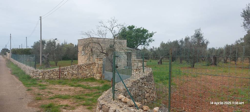 immagine annuncio 3 di 11