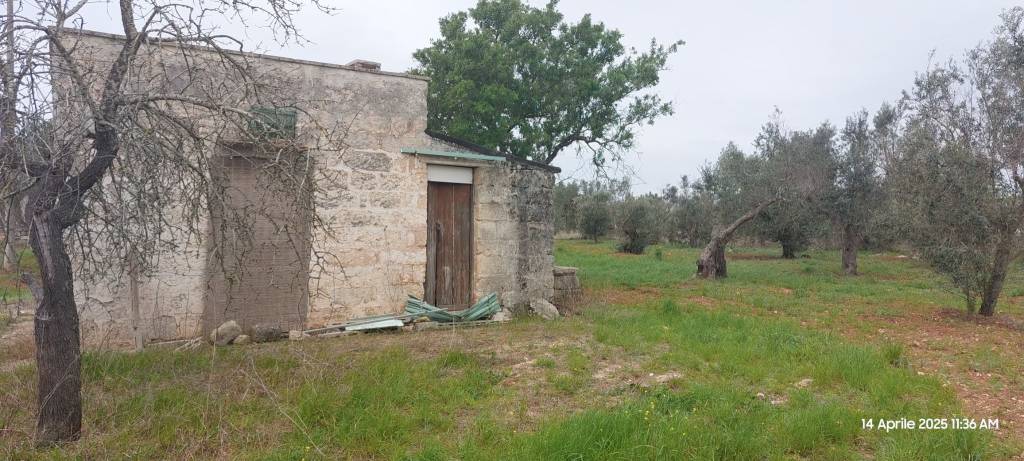 immagine annuncio 4 di 11