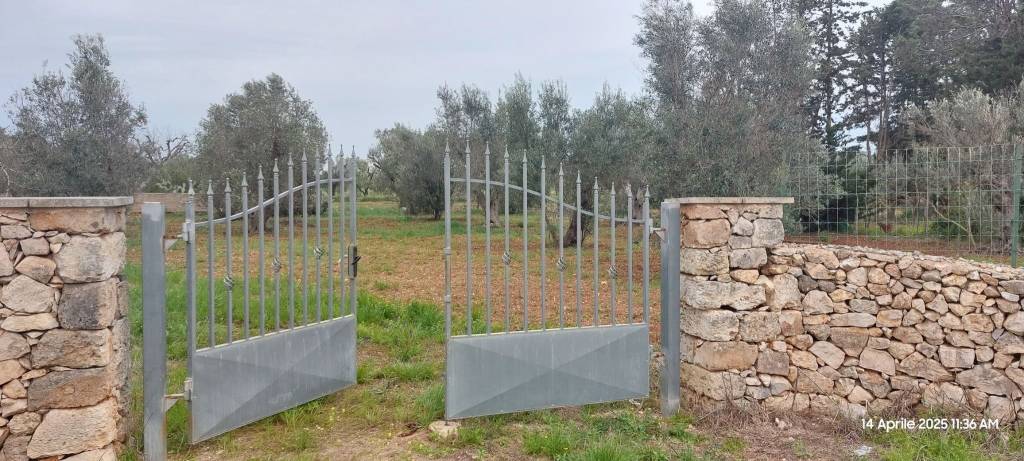 immagine annuncio 5 di 11