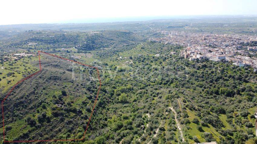 immagine annuncio 3 di 11