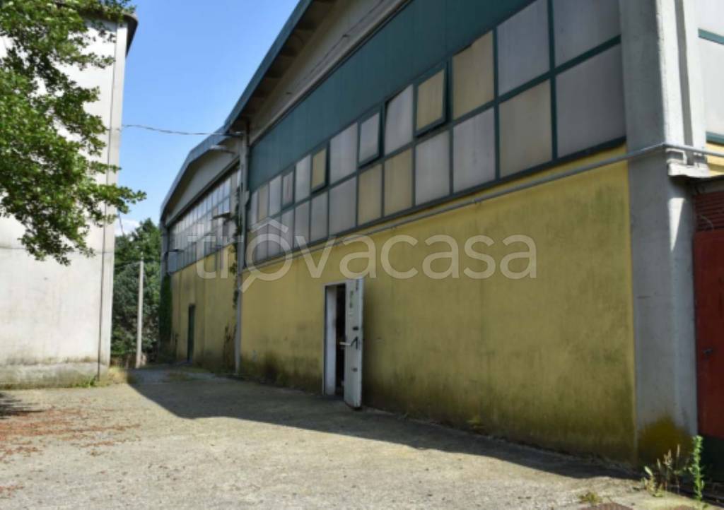 immagine annuncio 8 di 11