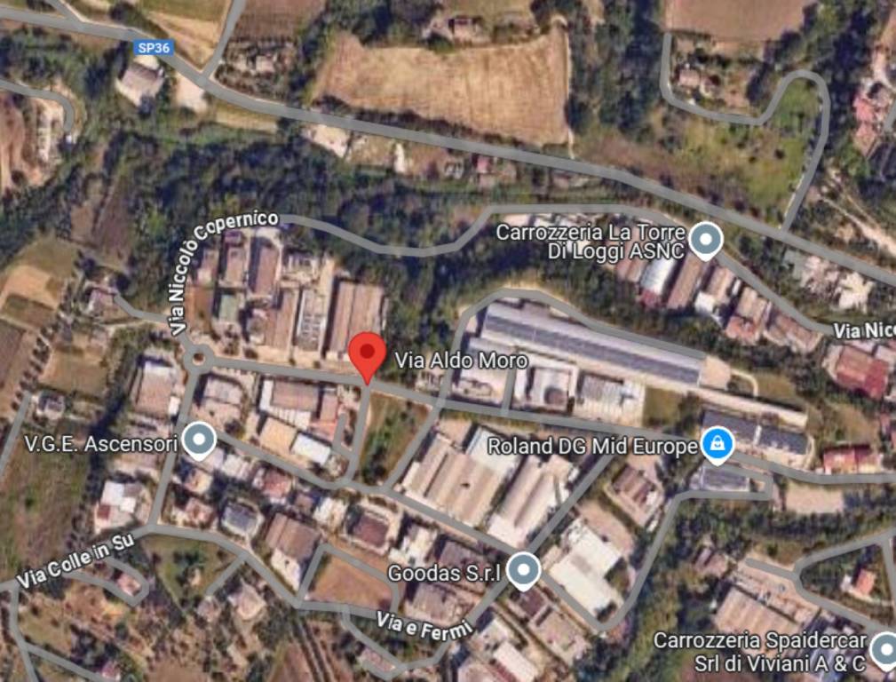 immagine annuncio 9 di 11