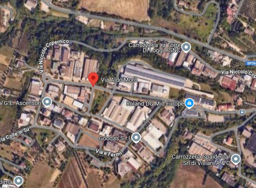 immagine annuncio 10 di 11