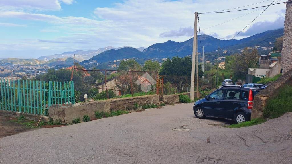 immagine annuncio 7 di 14