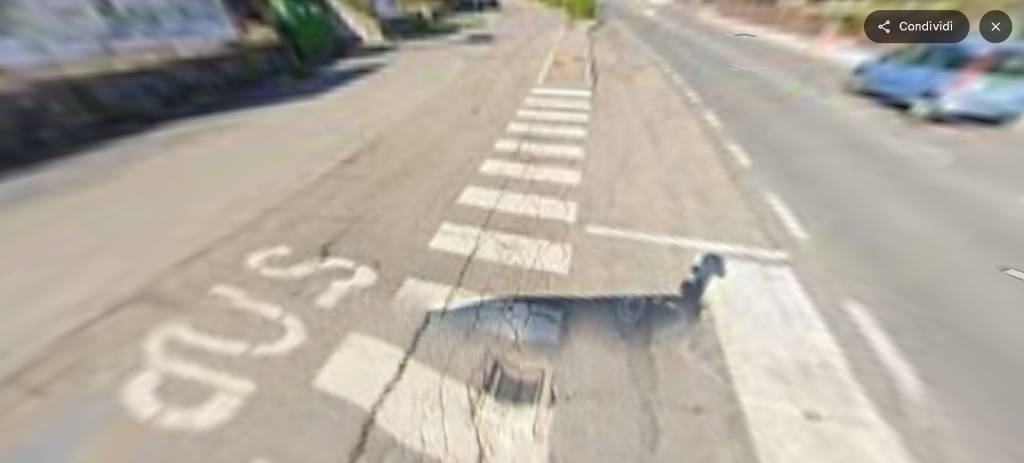 immagine annuncio 2 di 12